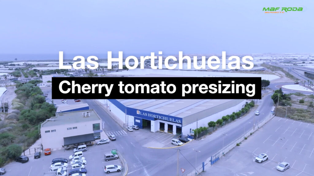 Placeholder image for video