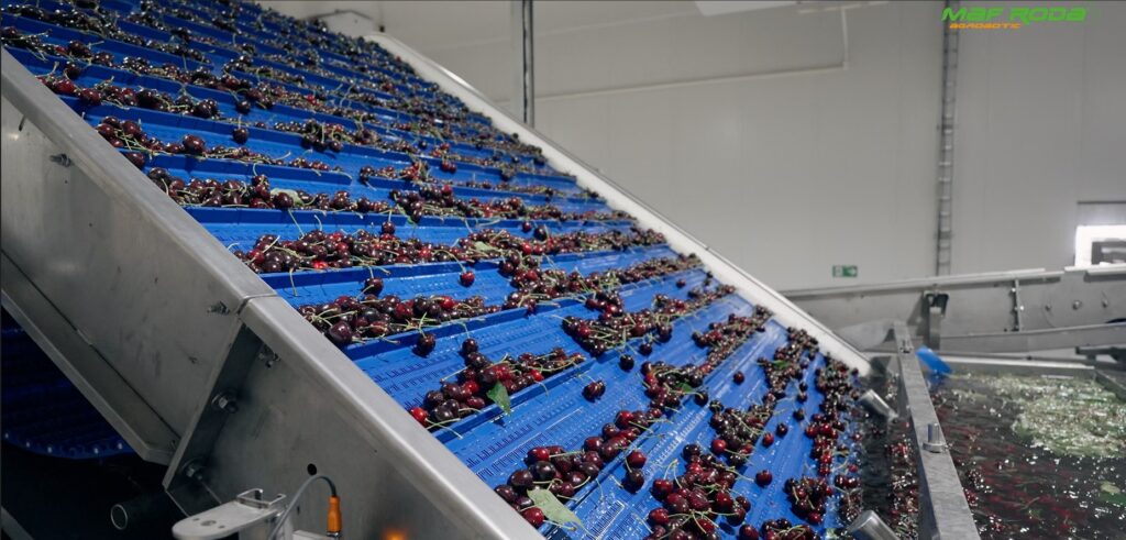 Placeholder image for video