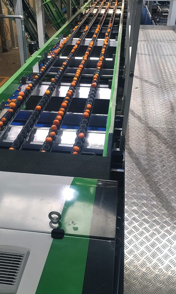 Fruits&Vegs_Citrus with leaves_Rollway Oneway or Rollway