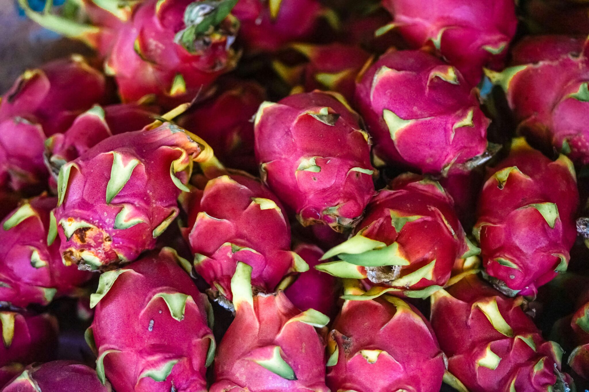 Fruits&Vegs_Dragon Fruit_Header