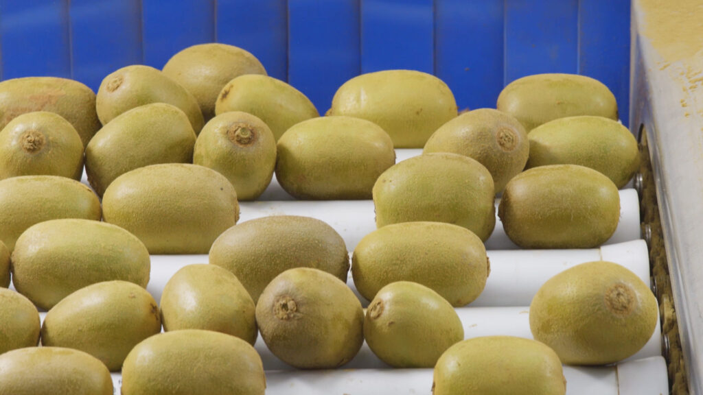 Placeholder image for video