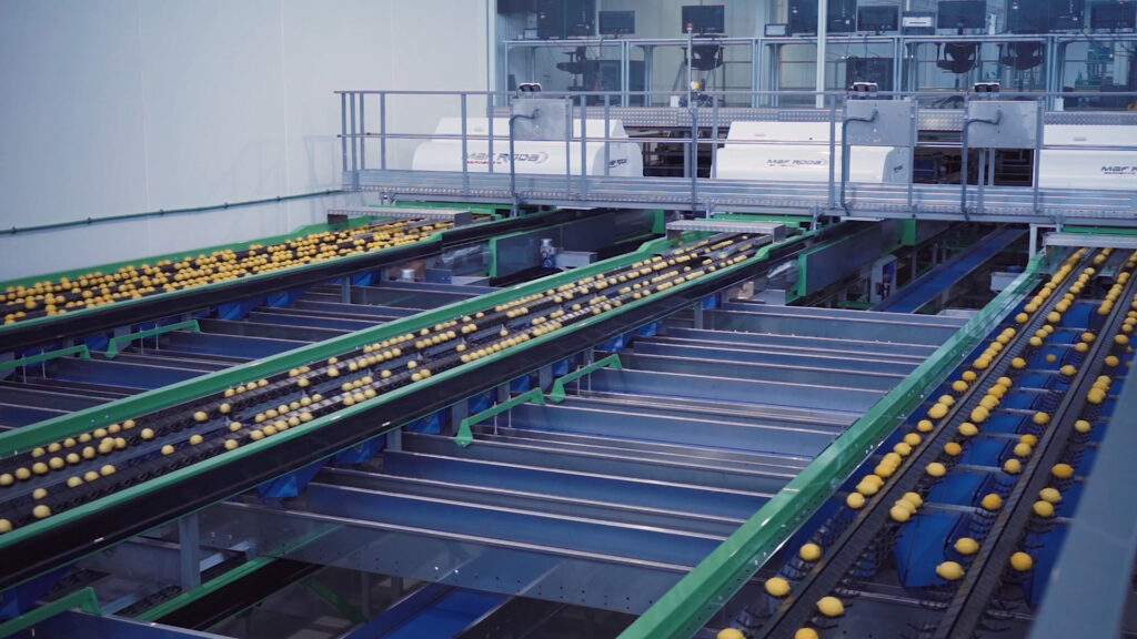 Placeholder image for video