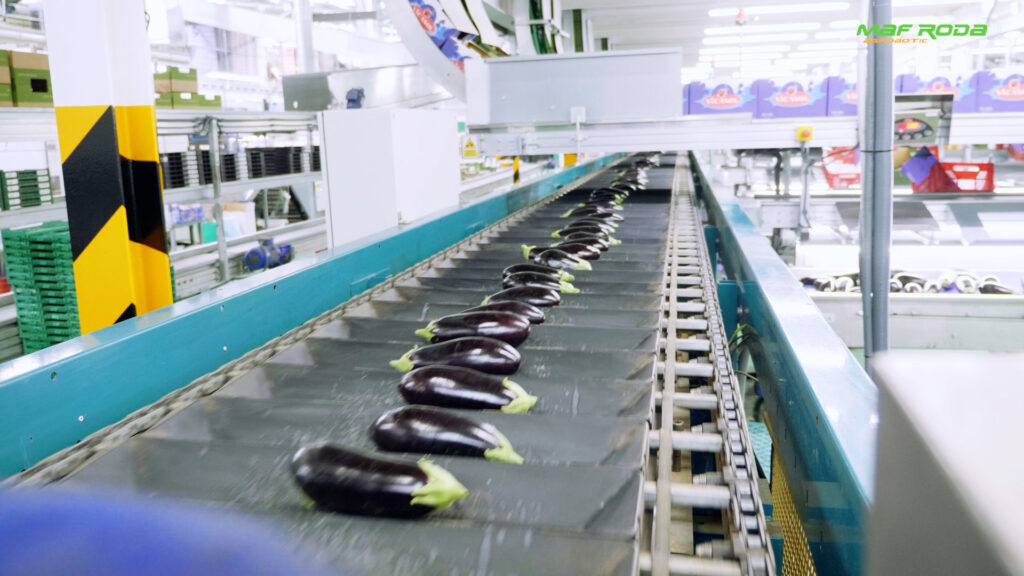 Placeholder image for video