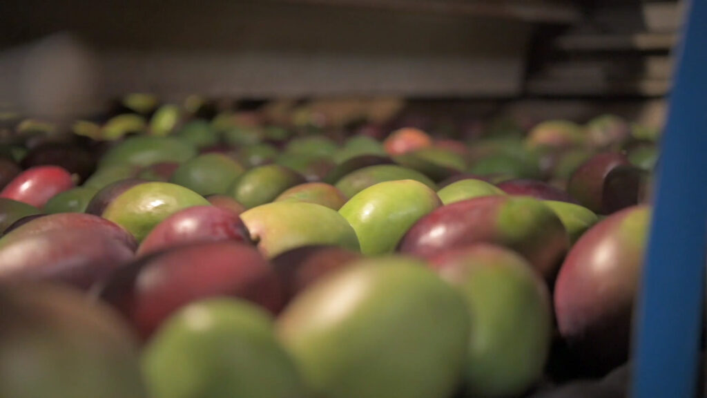 Placeholder image for video