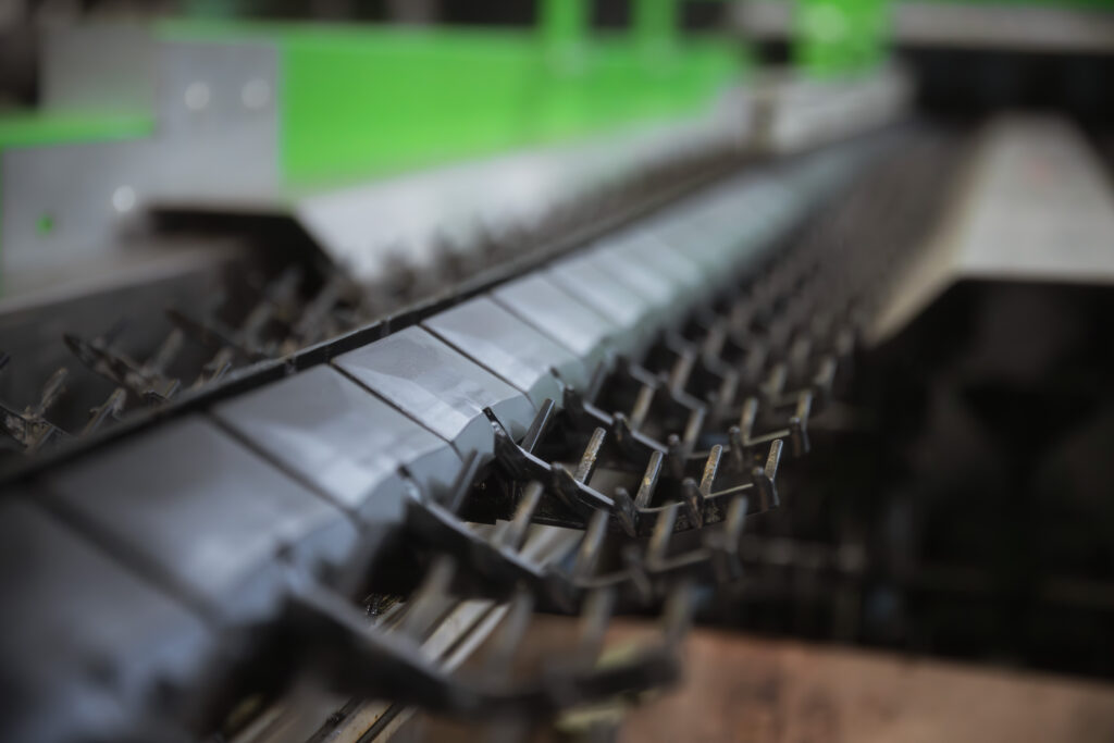 Fruits&Vegs_Onion_PomoneIV (1)