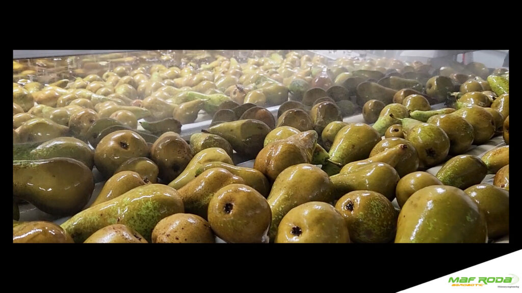 Placeholder image for video