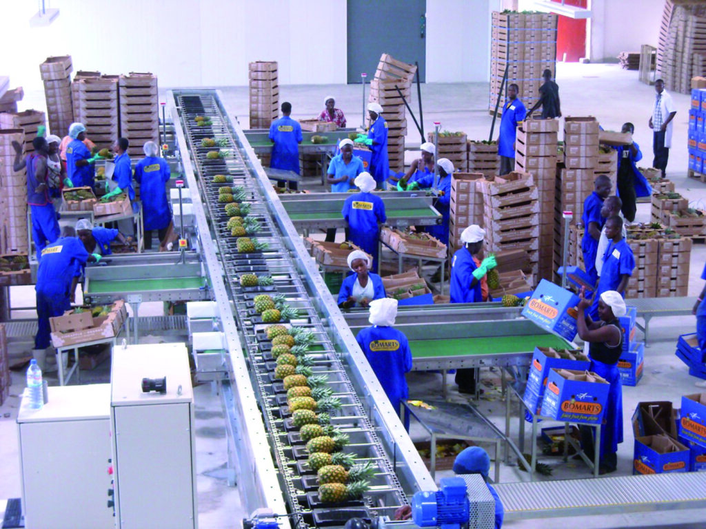 Fruits&Vegs_Pinneapple_PIC no video Placeholder image for video