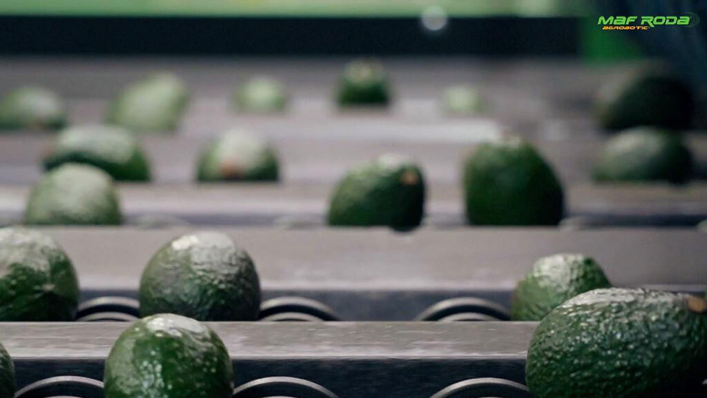 Placeholder image for video