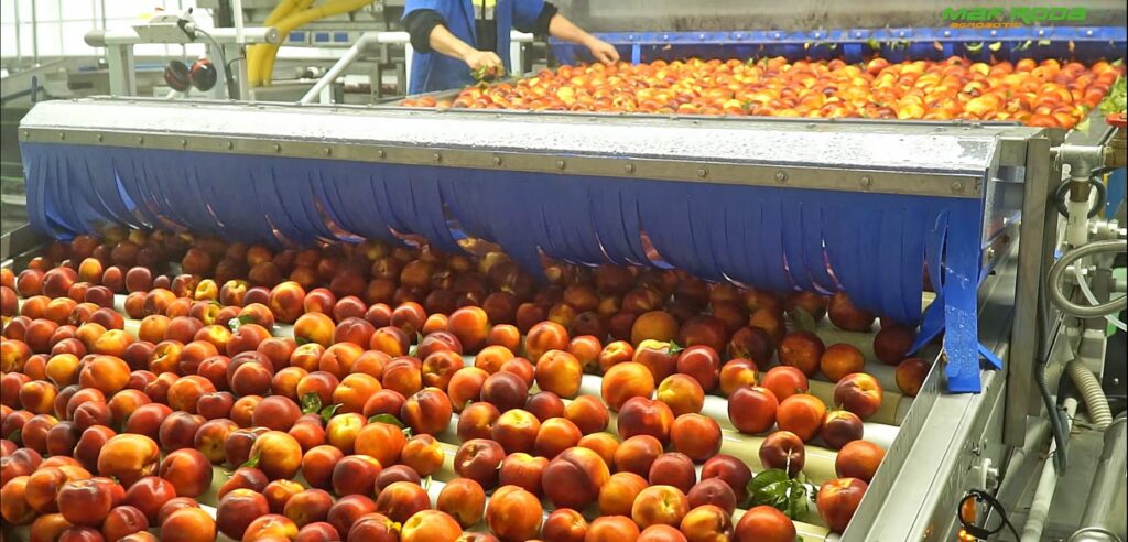 Placeholder image for video