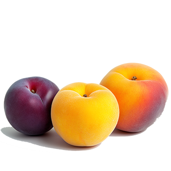 Stone fruit
