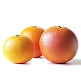 Citrus