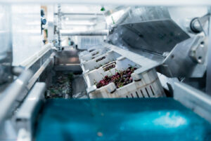 Depalletizing&Emptying_Water boxes emptyer_Render_Picto