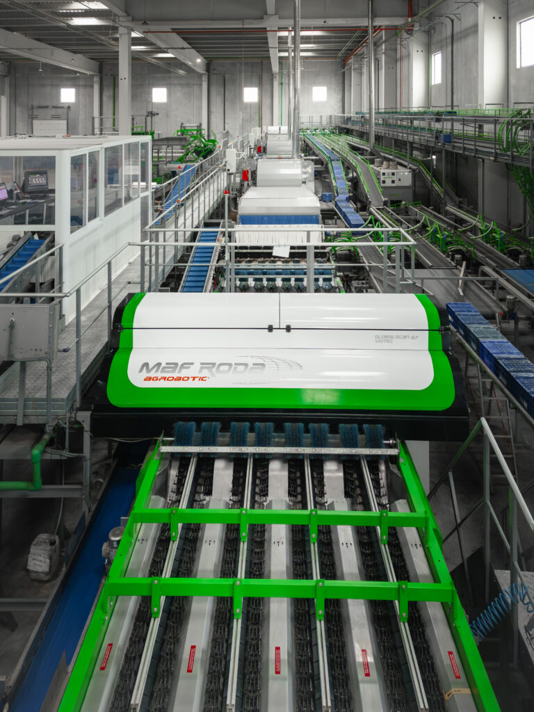 MAF RODA Fruixeresa v2-6