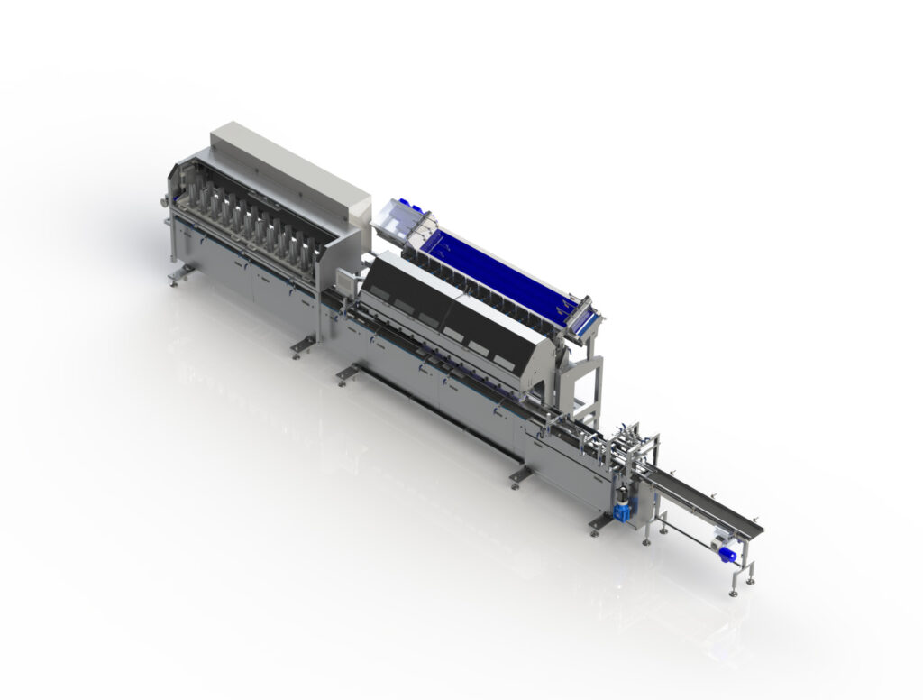 Packing_Punnet fillers_Product image_1