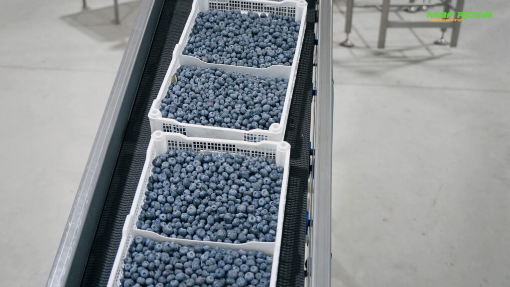 Placeholder image for video