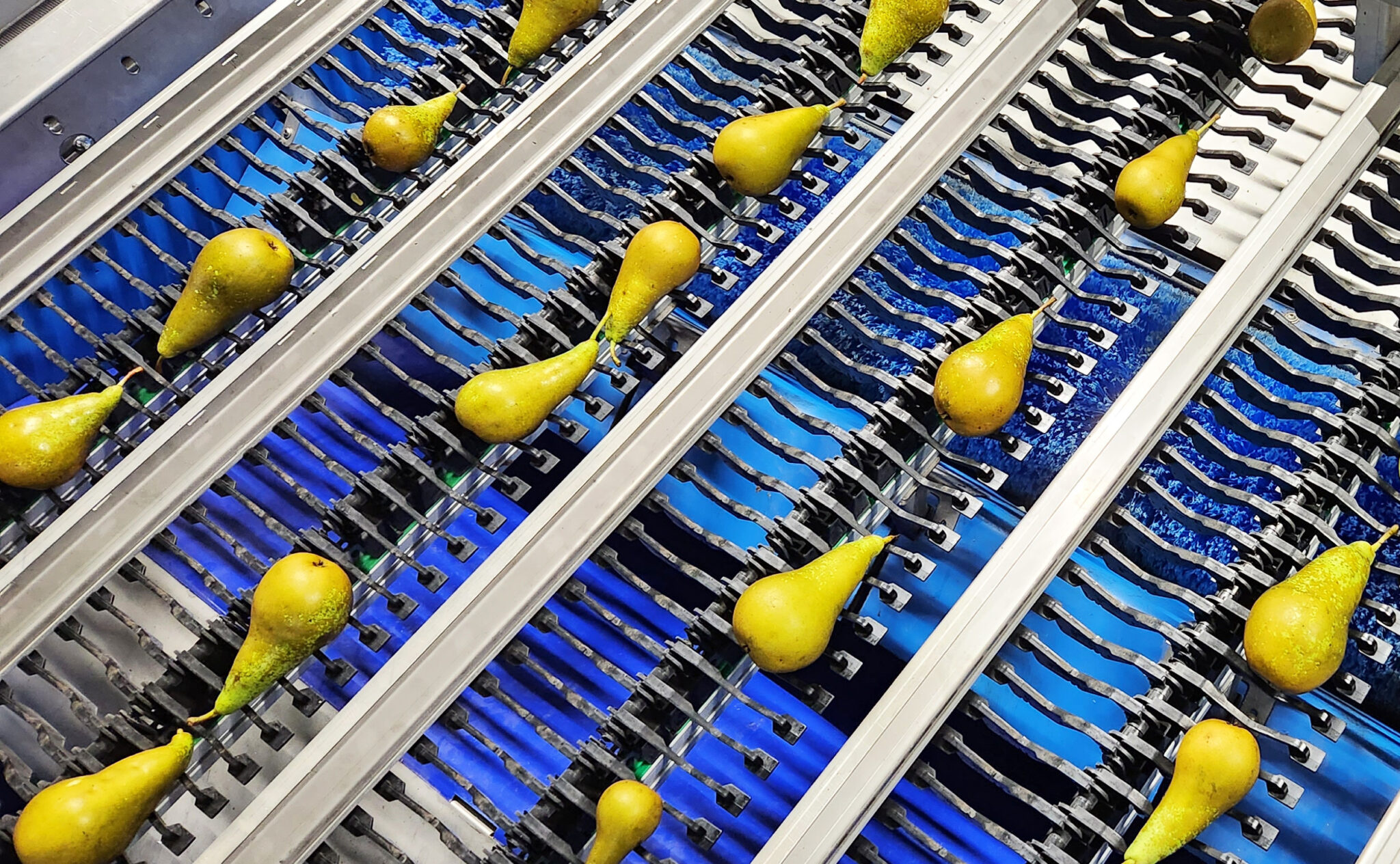 Sizing_Biaxone_Header image