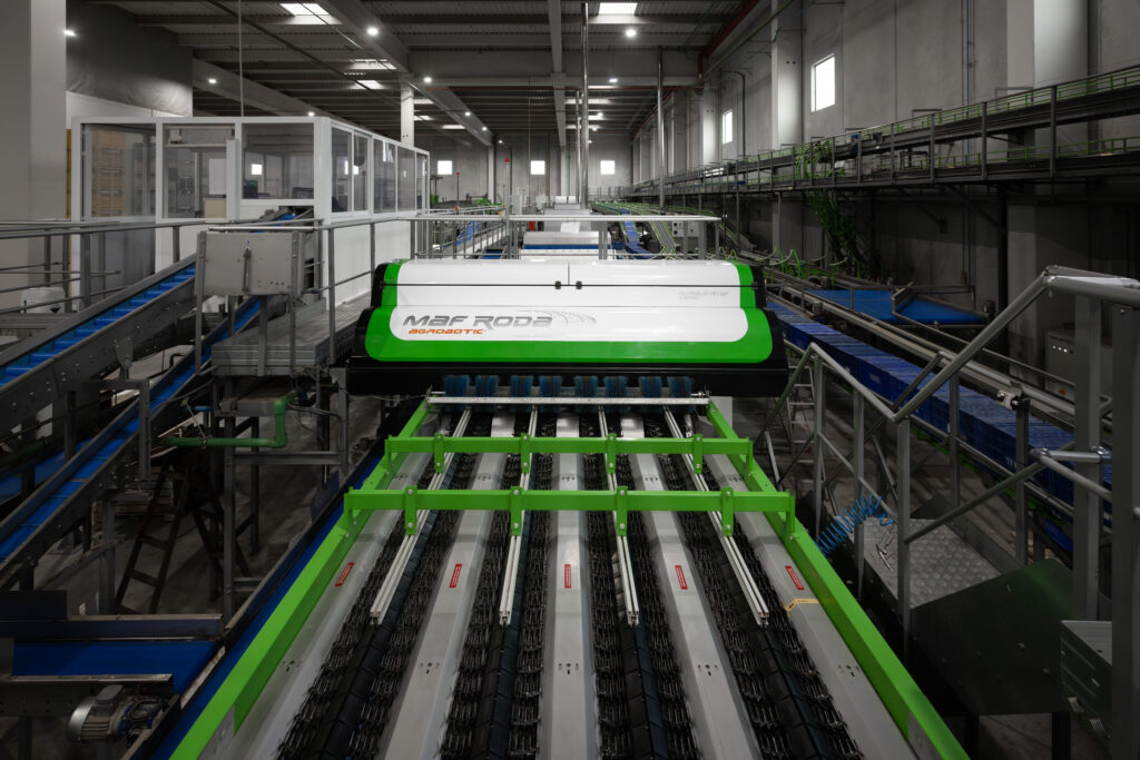 Sorting_Globalscan 7_Header image