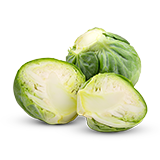 Brussels Sprout