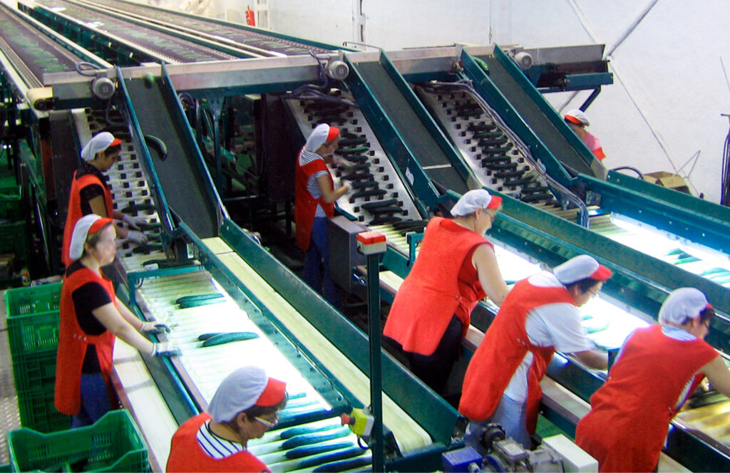 Sizing_Calinea_Black Box_Picture