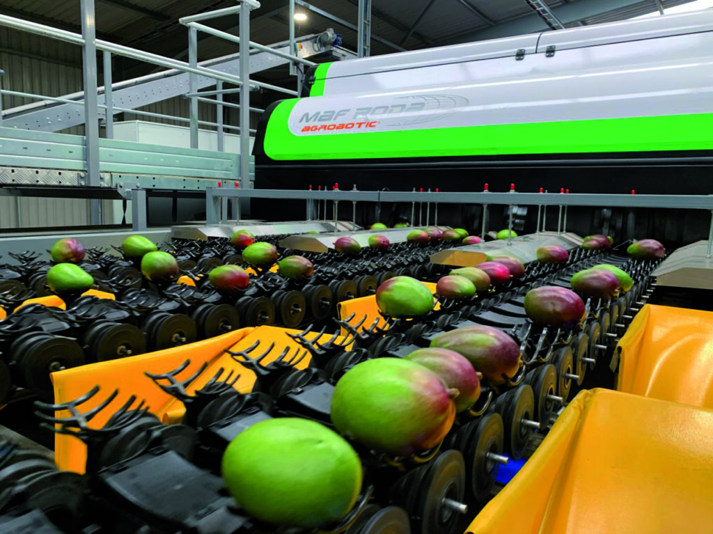 Sorting_Globalscan 7_Product gallery_2