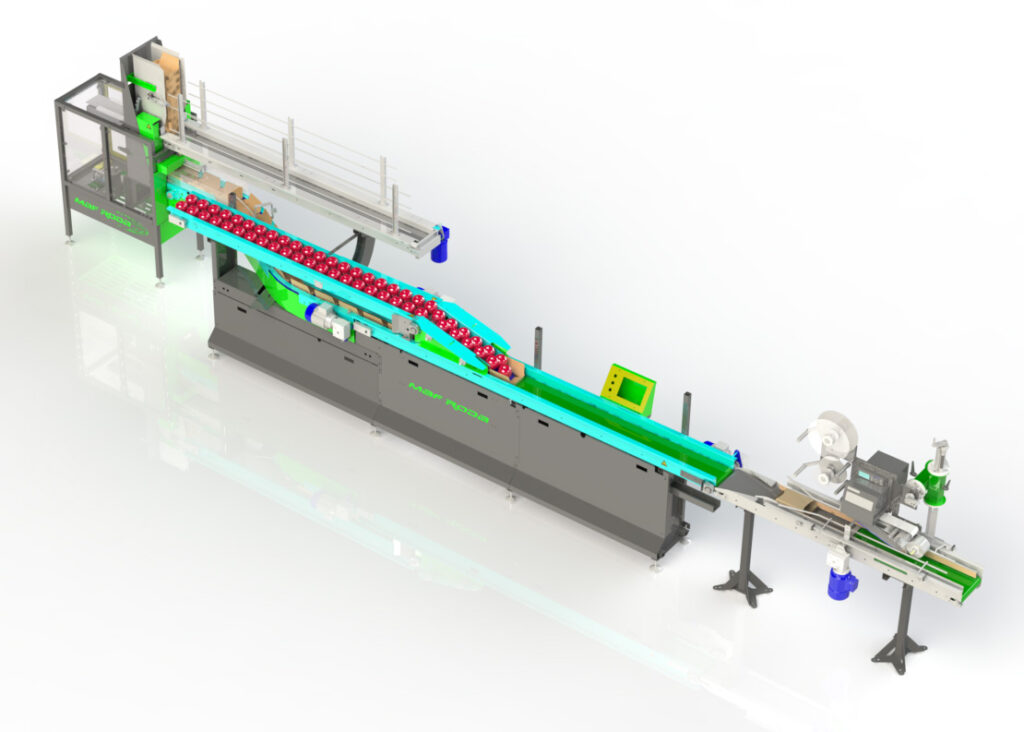 Packing_Semi automatic Punnet Filler_Product image_1