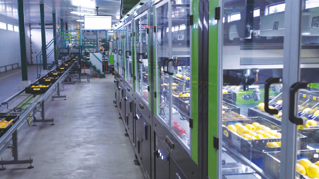 Line Pack packing solution