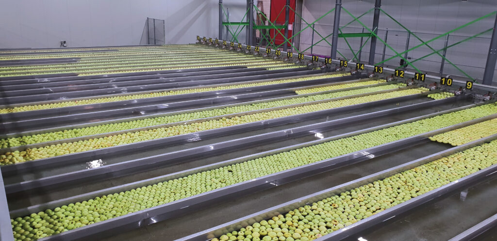 Viltifruit apple facility