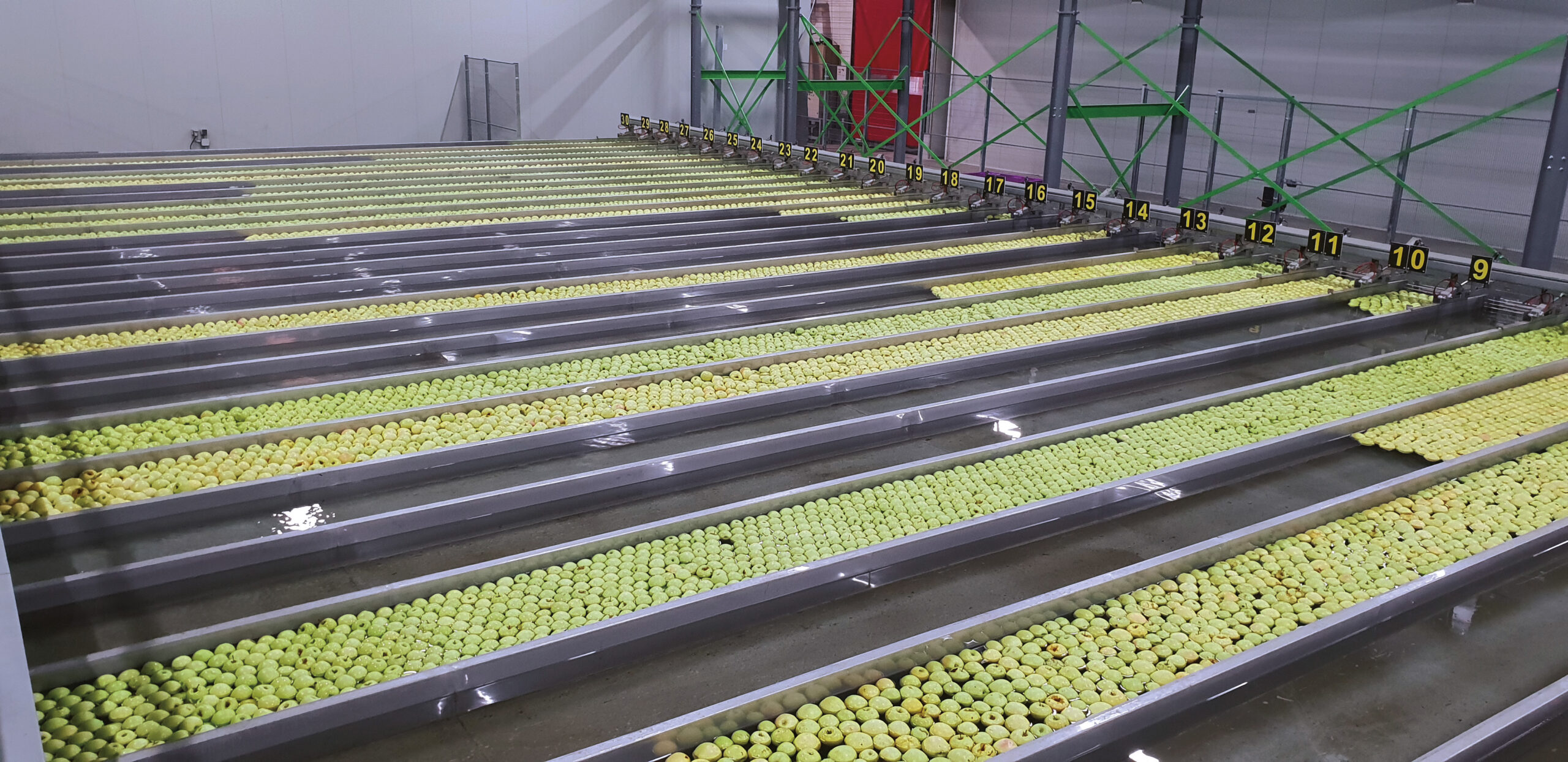 Viltifruit apple facility