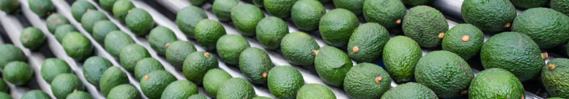 Avocados